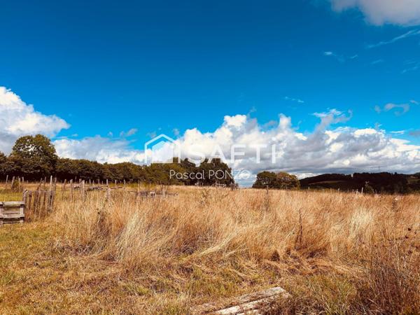 Somptueuse maison de maître