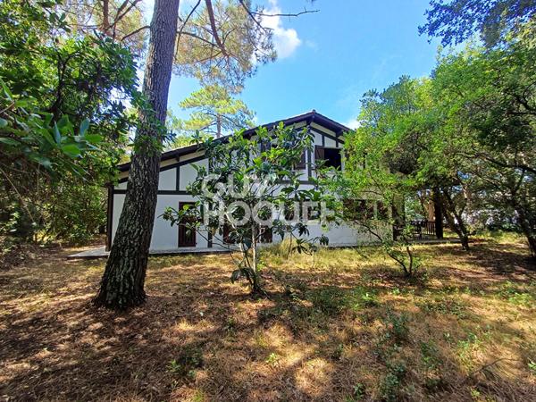 Plage à pieds ! Maison landaise sur terrain 1995 m²