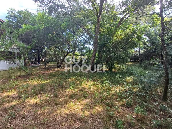 Plage à pieds ! Maison landaise sur terrain 1995 m²