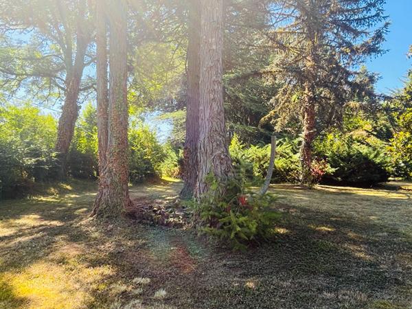 À vendre Belle maison familiale de 213 m² avec parc de plus de 5 000 m² Chamboulive (19)