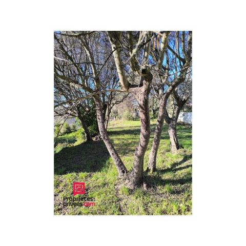 Terrain Draguignan 1000 m2