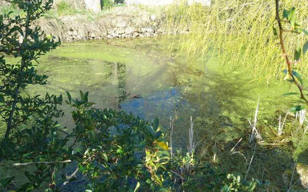 Maison à vendre    8 pièces •  Monnaie