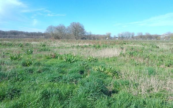 Maison à vendre    8 pièces •  Monnaie