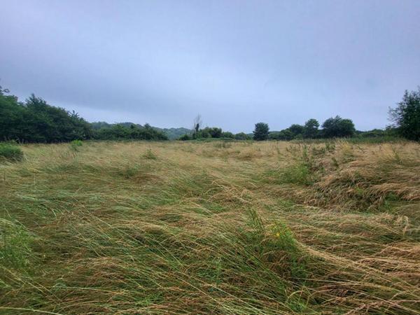 Maison Frevent 6 pièce(s) 90 m2