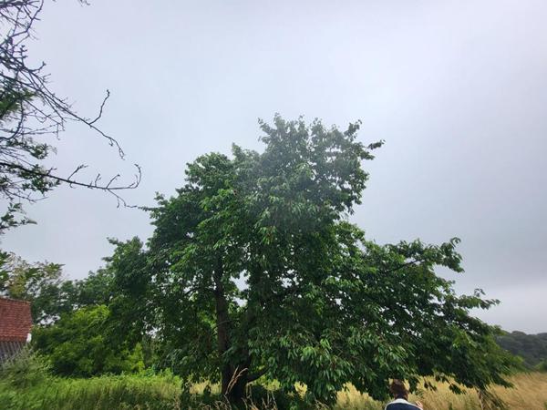 Maison Frevent 6 pièce(s) 90 m2