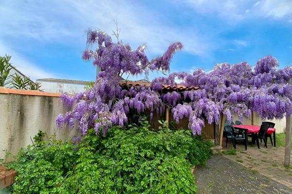 Maison à vendre Sainte Marie de Ré - 3 pièces - 58 m2,