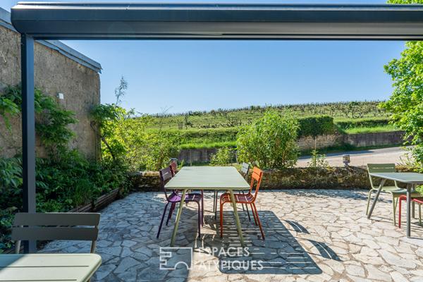 Restaurant troglodyte avec terrasse panoramique sur les vignes