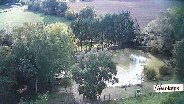 Demeure d’exception au cœur du Tarn – Maison de Maître de 450 m² sur 3 hectares avec piscines intérieure et extérieure