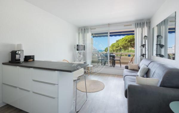 Vente Studio Cabine Vue Mer Boucanet rénové(e) Le grau-du-roi   