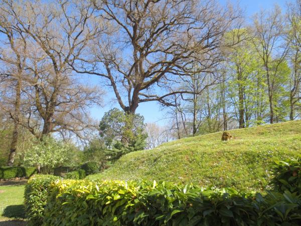 Ensemble de 3 Maisons en pierre à 20mn d'Agen, 1h15 de Bordeaux
