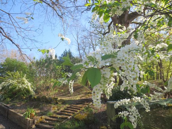Ensemble de 3 Maisons en pierre à 20mn d'Agen, 1h15 de Bordeaux