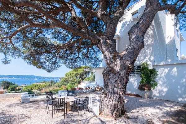 Sainte-Maxime, Propriété 7 Chambres -  500 m² à vendre