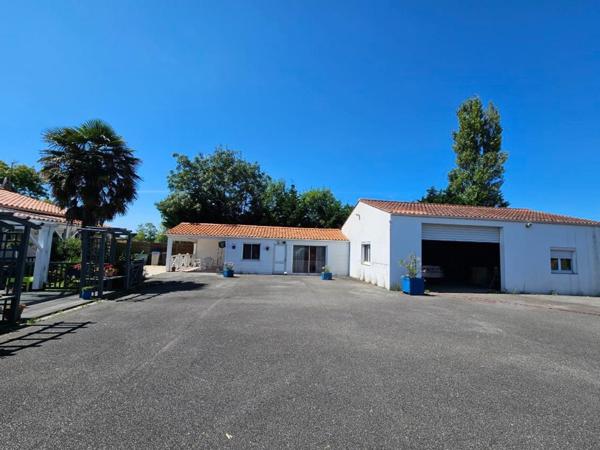 Une vue imprenable sur la nature