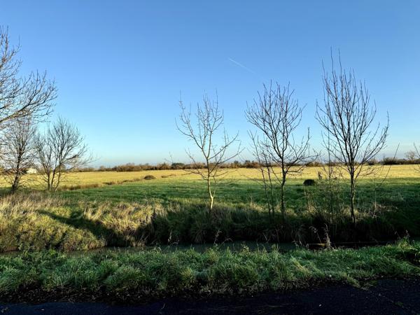 Une vue imprenable sur la nature