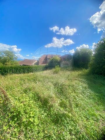 Terrain  en vente - Ain - 01
