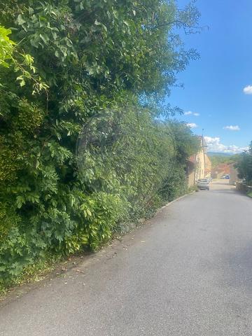 Terrain  en vente - Ain - 01