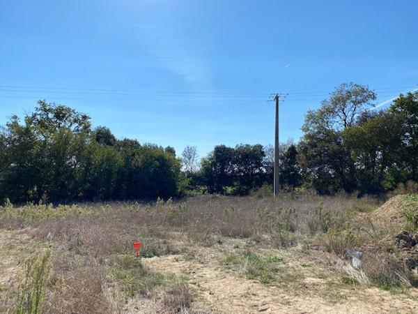 Terrain Avrille 577 m2