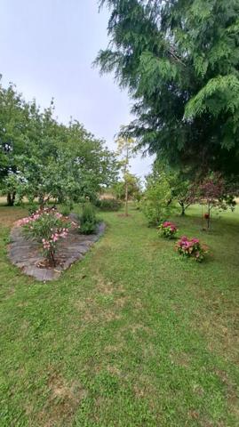 Maison rénovée à St Pair Sur Mer 5 pièce(s) 120 m2