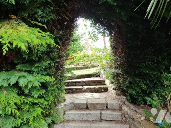 En plein centre ville : maison avec un local commercial