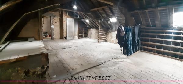 Appartement à vendre 8 pièces SAINT CALAIS (72) Ensemble immobilier à fort potentiel : local commercial + appartement en duplex avec patio