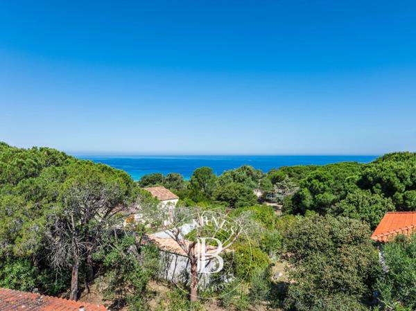 L'Île-Rousse, Terrain  1 980 m² à vendre