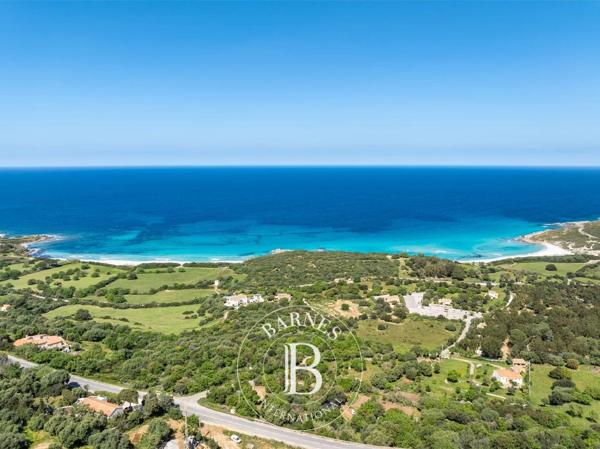 L'Île-Rousse, Terrain  1 980 m² à vendre