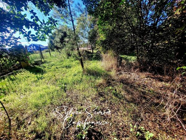 Propriete à vendre 5 pièces et 990 m² d'annexes SAINT CHRISTOL LES ALES (30)