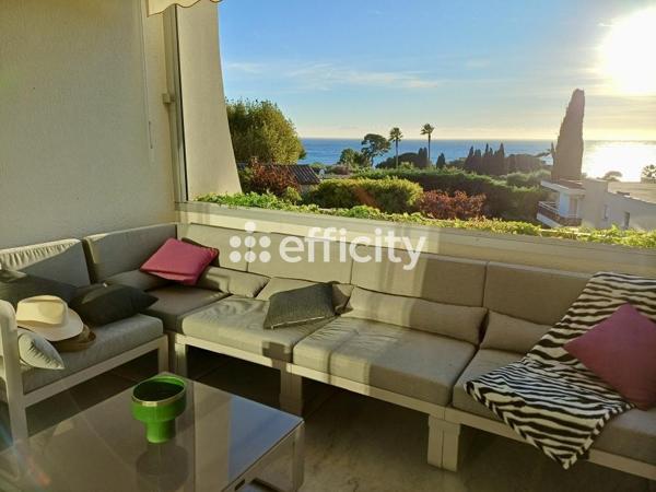 Appartement 2 pièces - 48 m² Exclusivité efficity