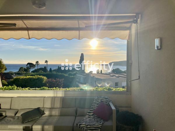 Appartement 2 pièces - 48 m² Exclusivité efficity