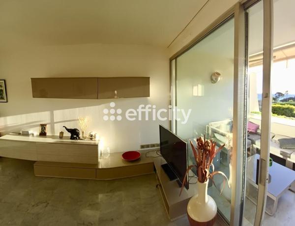Appartement 2 pièces - 48 m² Exclusivité efficity