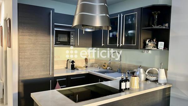 Appartement 2 pièces - 48 m² Exclusivité efficity