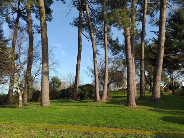 Maison à vendre à Plescop dans le Morbihan (56890), ref : 56005-764