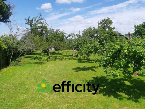 Maison 8 pièces - 238 m²
EXCLUSIVITÉ EFFICITY
