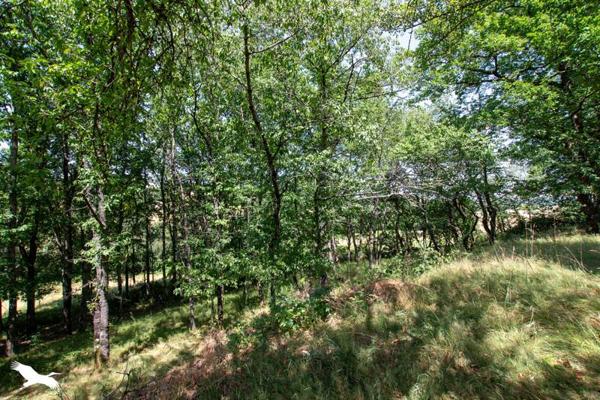 Maison à vendre |  Rieumes |  5 pièces | 100 m²