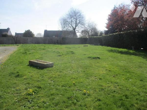 Maison d'habitation comprenant :
-au sous-sol : pièces-rangement, caves, buanderie-chaufferie ...