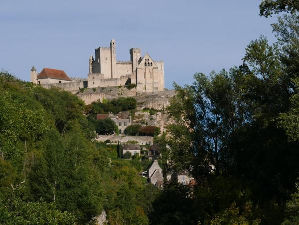 Beynac-et-Cazenac (24220) Belle vue et lieu d'exception!