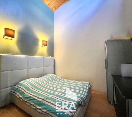 Immeuble Albi 162 m2