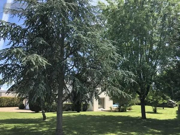 Achat - Maison Soulaire-et-Bourg 49460 7 pièces 138 m 2 2387 m 2