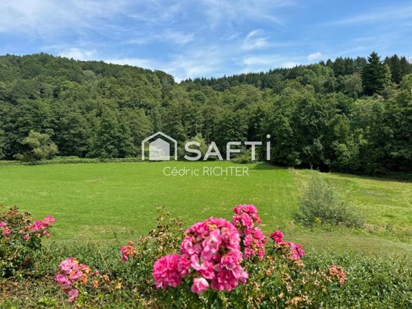 À vendre : Maison familiale spacieuse à Villé de 223 m² habitables