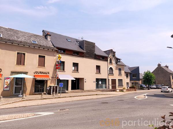 Vente ImmeubleFLAVIN (12450)