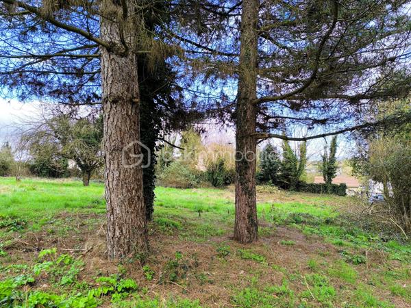 Terrain de 4 300 m²