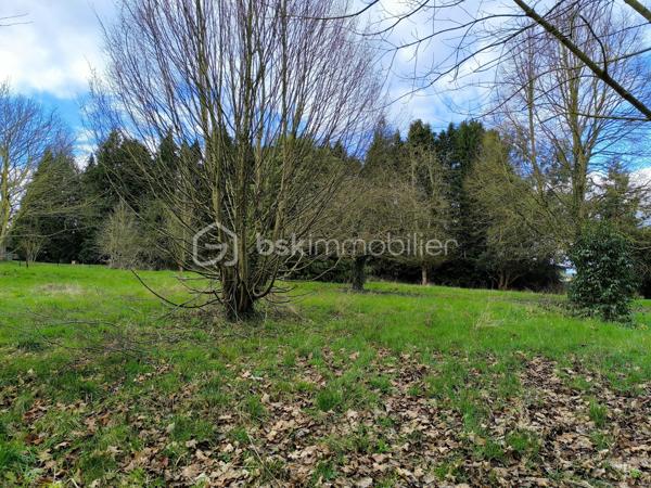 Terrain de 4 300 m²