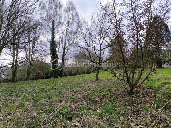 Terrain de 4 300 m²