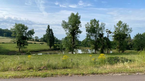 Terrain à vendre de 1 300,00 m² L'ISLE SUR SEREIN (89)