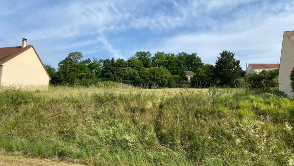 Terrain à vendre de 1 300,00 m² L'ISLE SUR SEREIN (89)