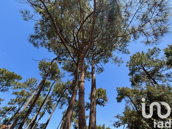 Maison à vendre 3 pièces 77 m² La Tremblade