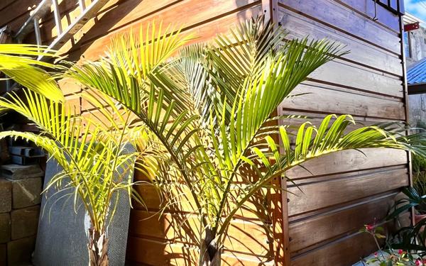 Maison à vendre    3 pièces • 95 m2 Saint-Leu