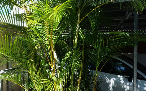 Maison à vendre    3 pièces • 95 m2 Saint-Leu