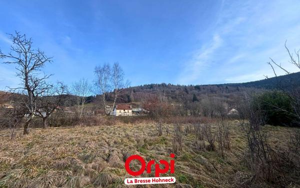 Terrain à vendre    Bussang