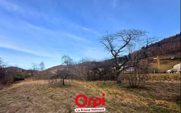 Terrain à vendre    Bussang